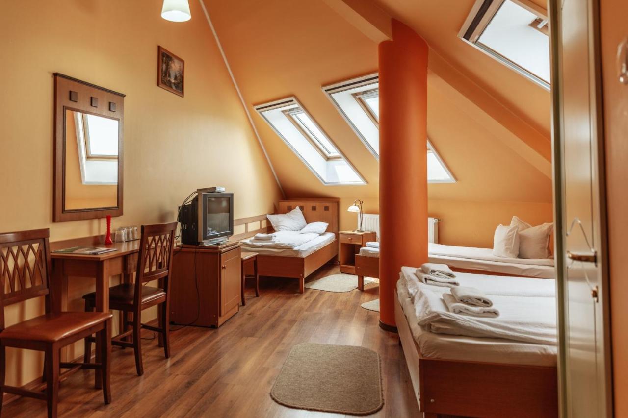 Medve Desag Ursul - B&B