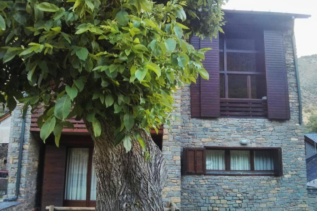 Dúplex Àreu, Pallars - B&B