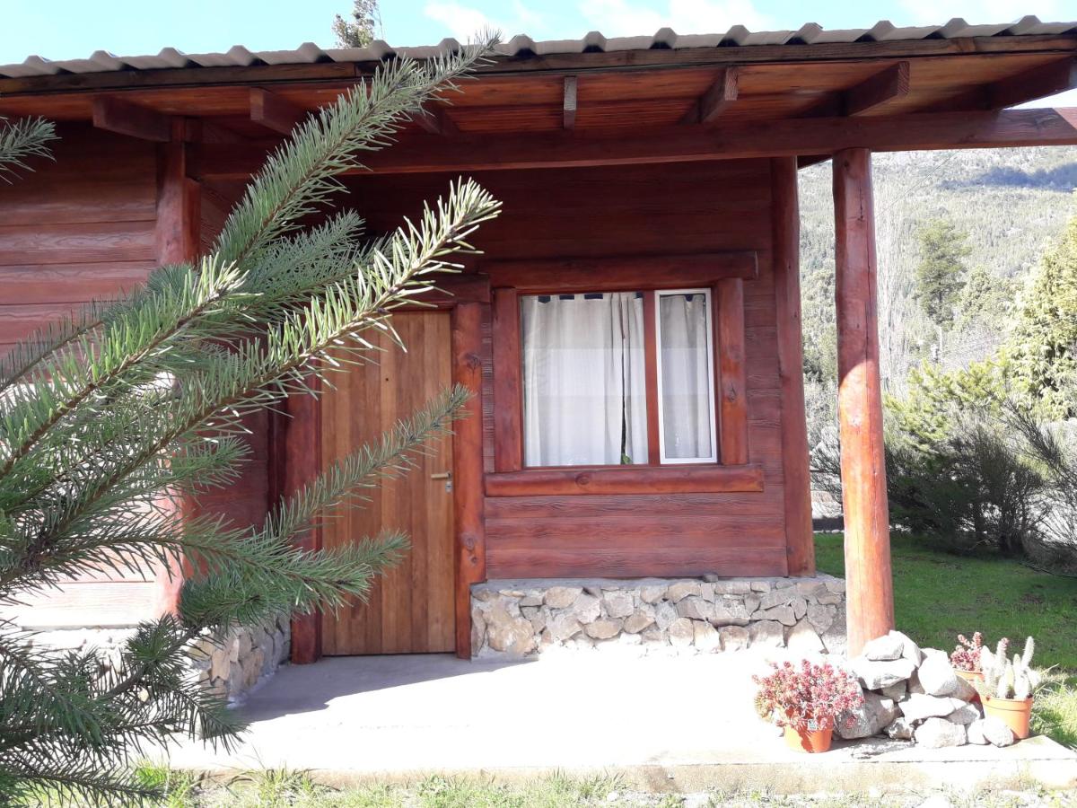 El Jarillal Chalet de Montaña a pasos del lago - Ferienwohnung Lago Puelo