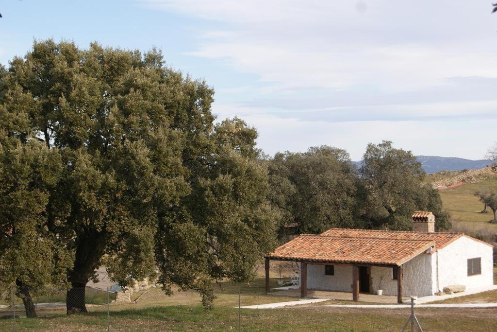 Villa Deluxe