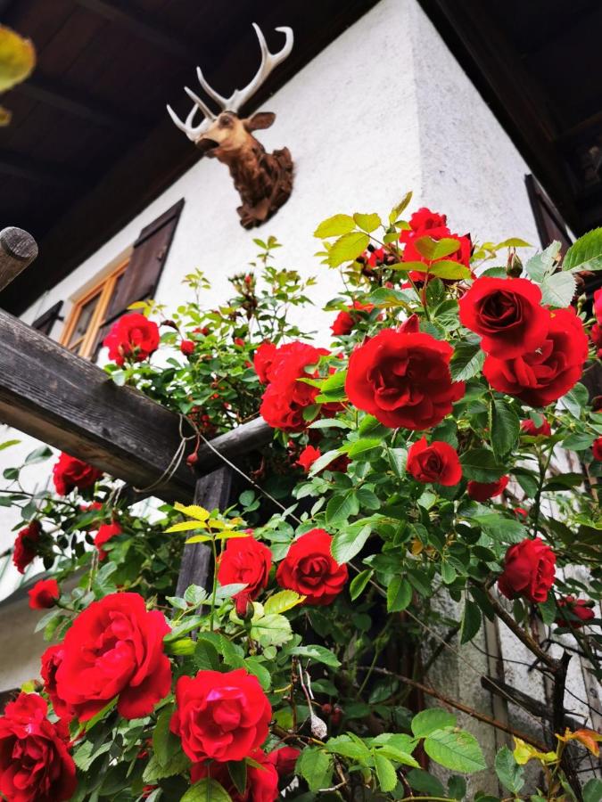 Gästehaus Neu am Passionstheater - B&B Oberammergau