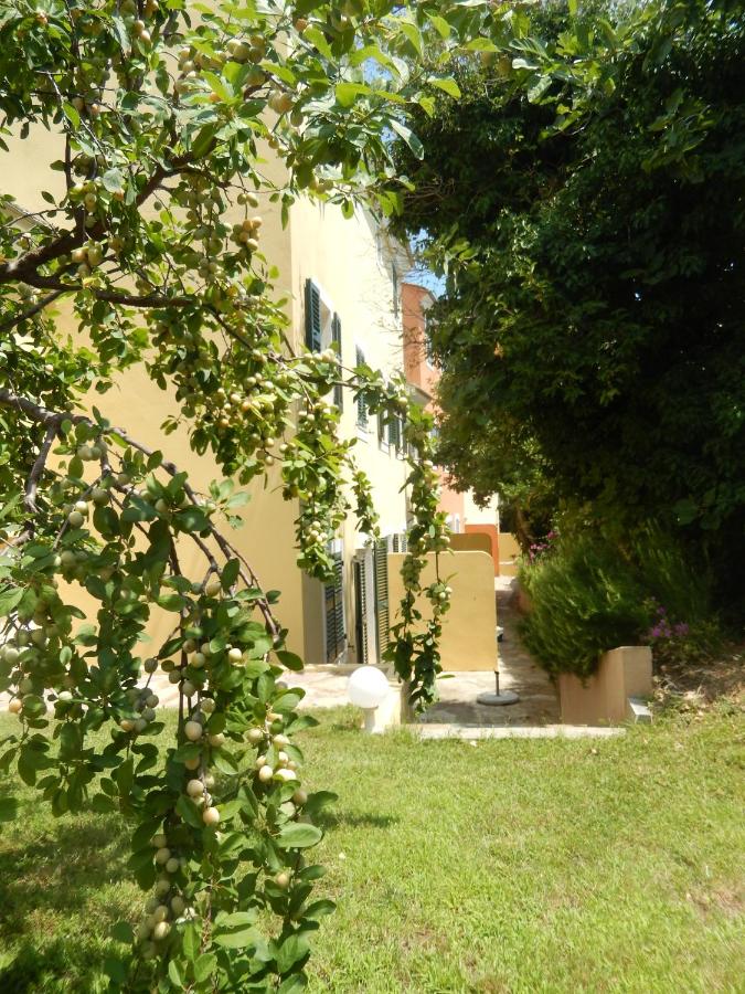 Appartamento con Vista Giardino