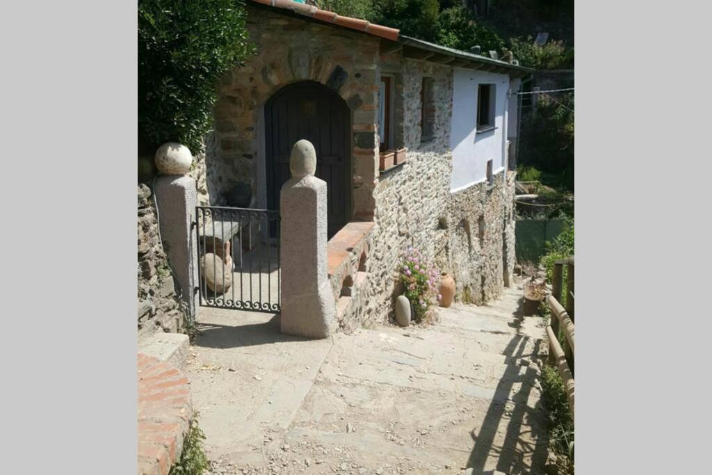 Casa da Muccia Vernazza vista mare - Ferienwohnung