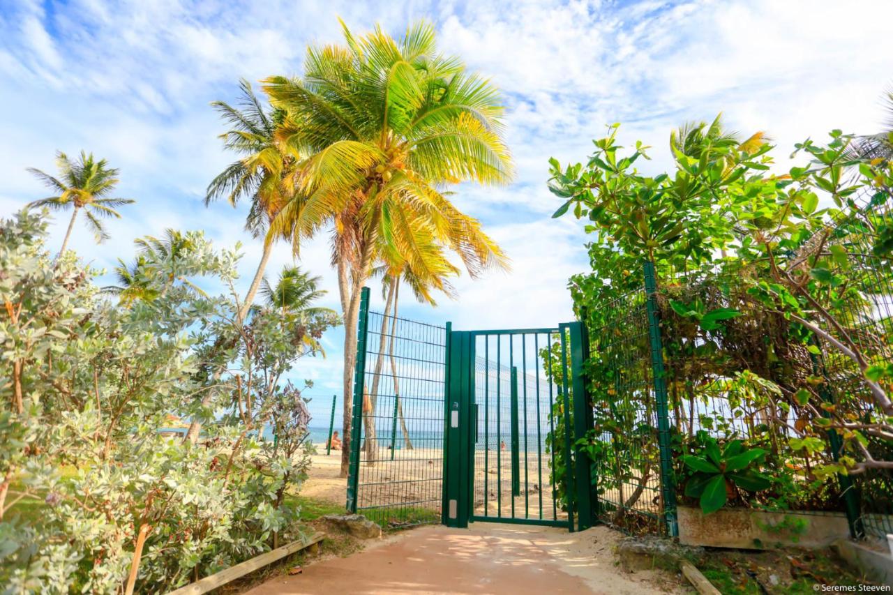 Studio CHIC avec son accès plage et sans coupure d'eau - B&B