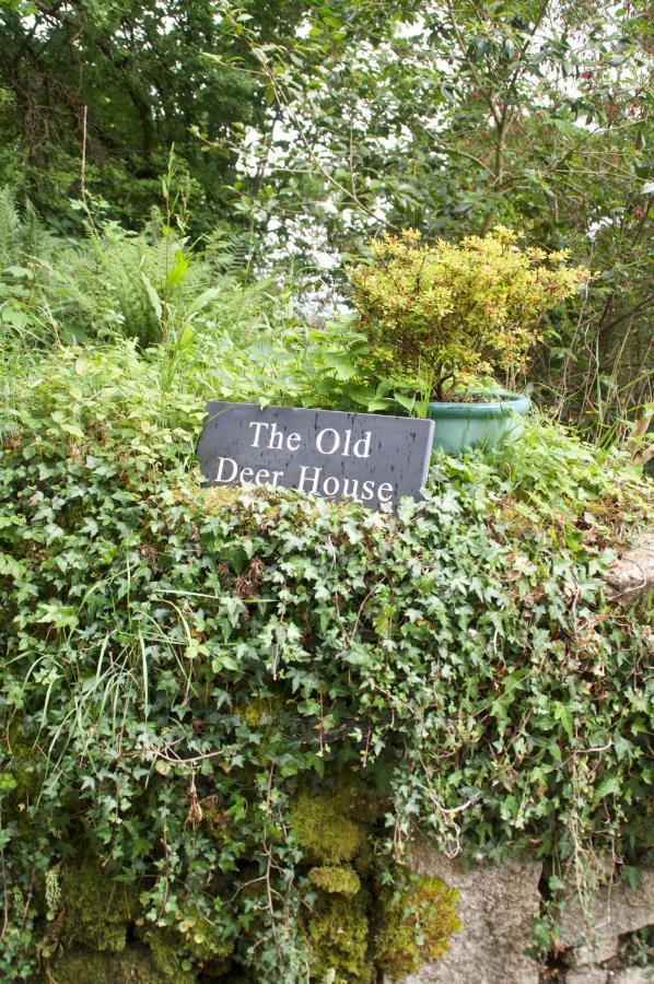 B&B Bodmin - The Old Deer House - Bed and Breakfast Bodmin