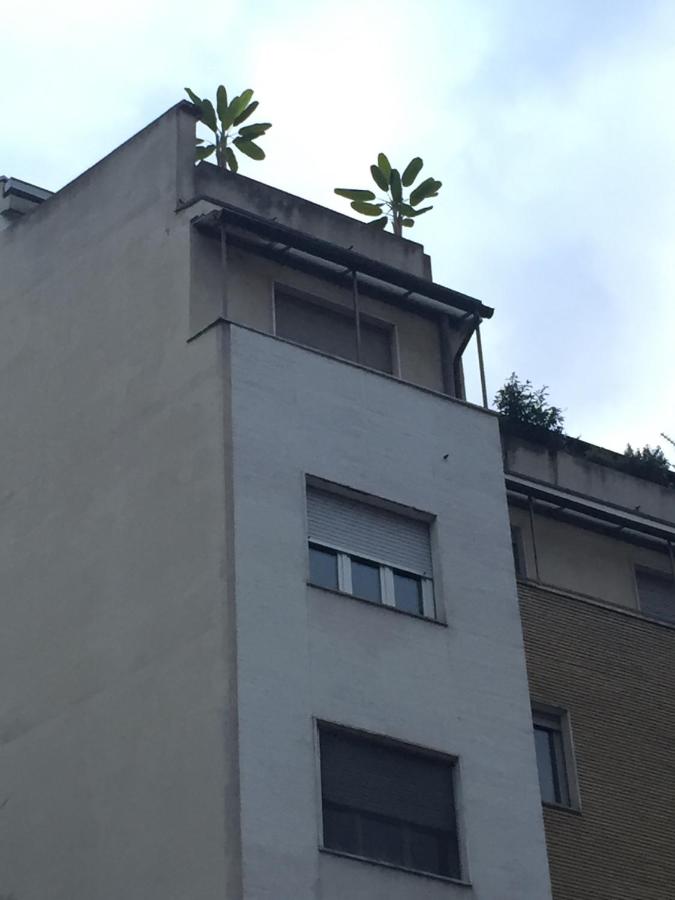 Attico Lux Turin - B&B
