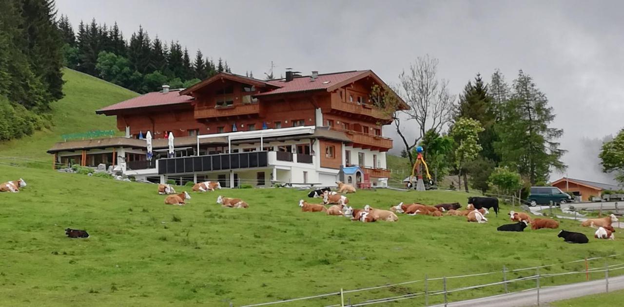 Berghaus Koglmoos - B&B Auffach