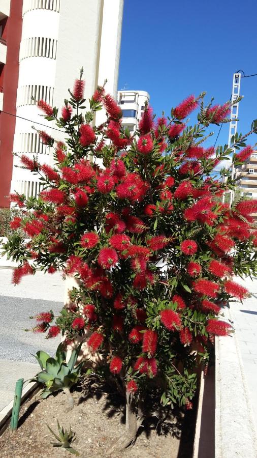 Atico en Calpe con Vistas - Ferienwohnung Calp