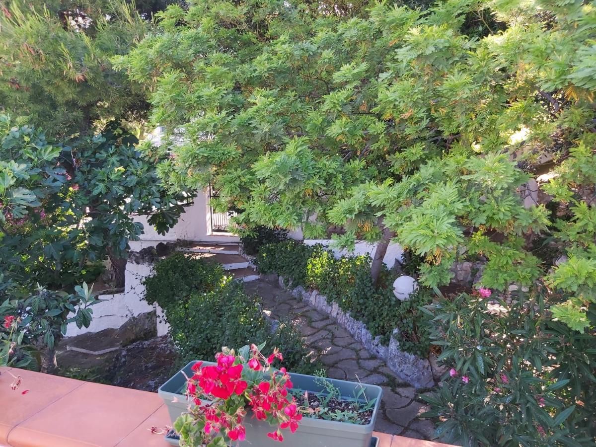 Attico con terrazzo e finestre sulla baia di Peschici - B&B Peschici