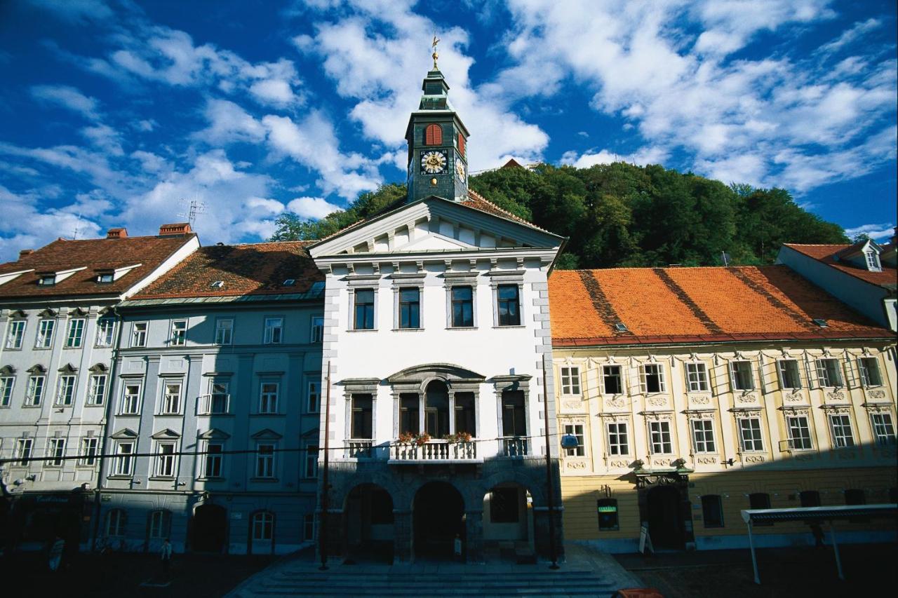 Apartment Silver - B&B Lubiana