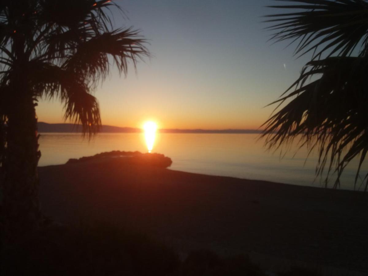 Regina & Theresa Apartments - B&B Podgora