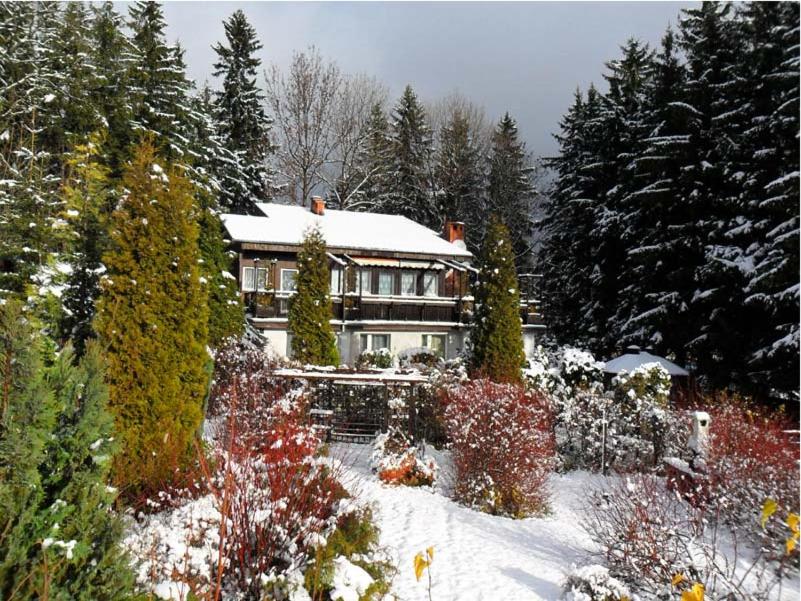 Willa Biała Dolina - B&B