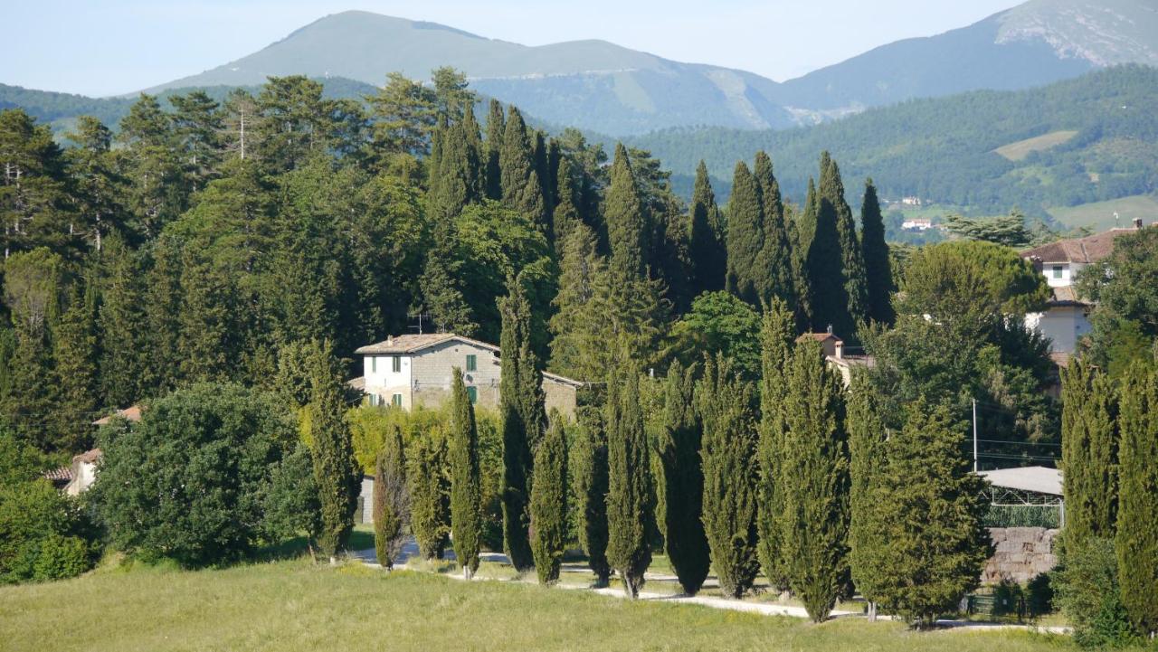 Agriturismo Germogli I Tenuta di Fassia - Chambres d'hôtes Gubbio