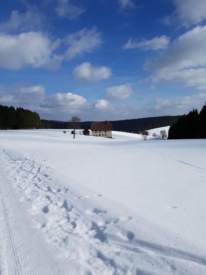 Appartement 1 Chambre