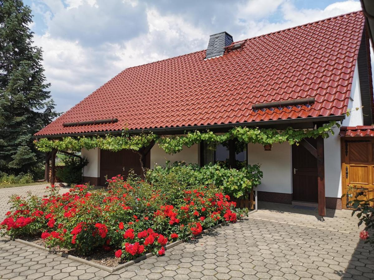 B&B Glaubitz - Ferienhaus Rosenhof - Bed and Breakfast Glaubitz