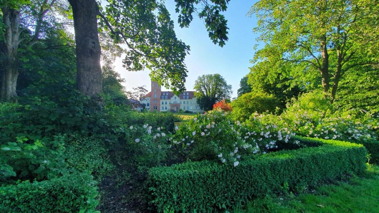 Ruhig & Idyllisch - Schloss Lelkendorf - Maisonette-Apartment Ulrichshusen mit Dachterrrasse, Mecklenburger Seenplatte mit Dachterrasse, Nähe Ostsee - Chambres d'hôtes Lelkendorf