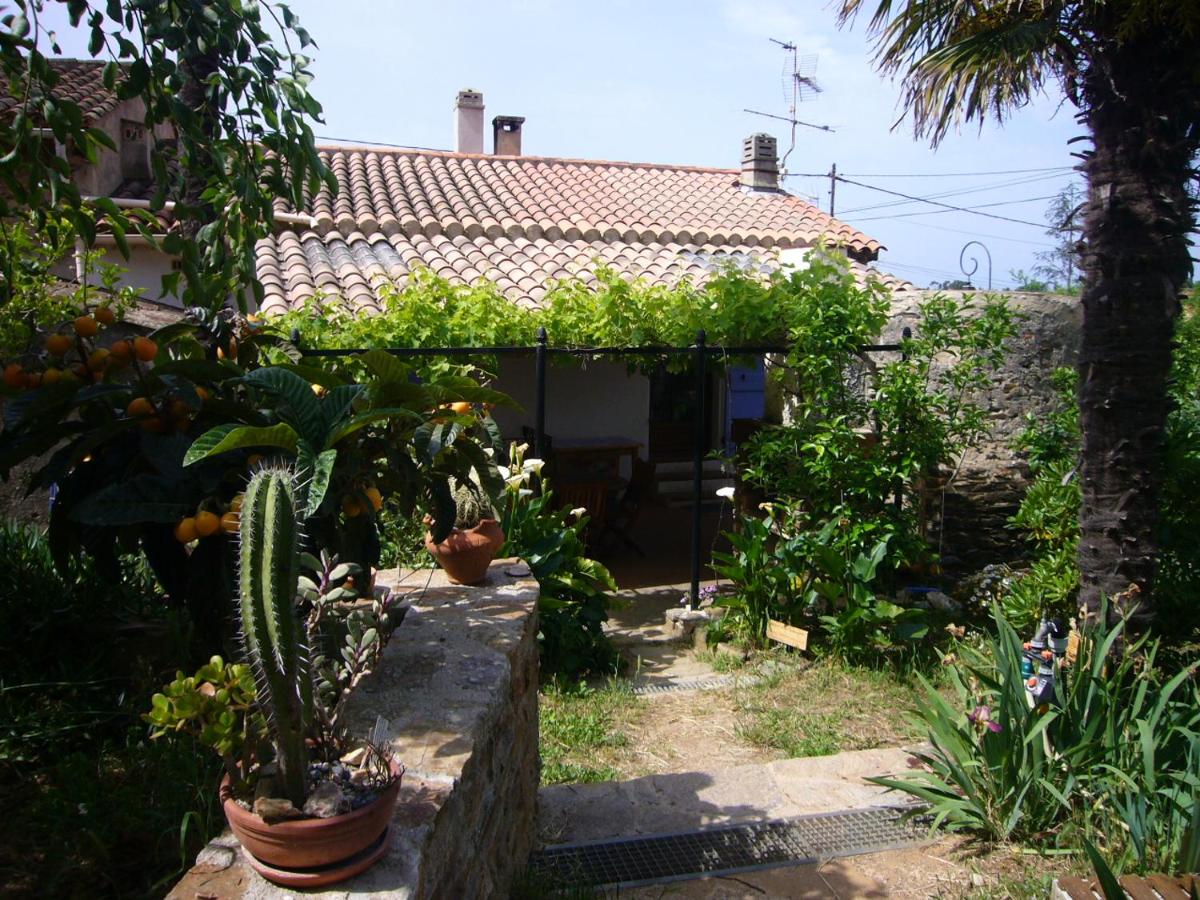 Maison de charme près de la mer - B&B