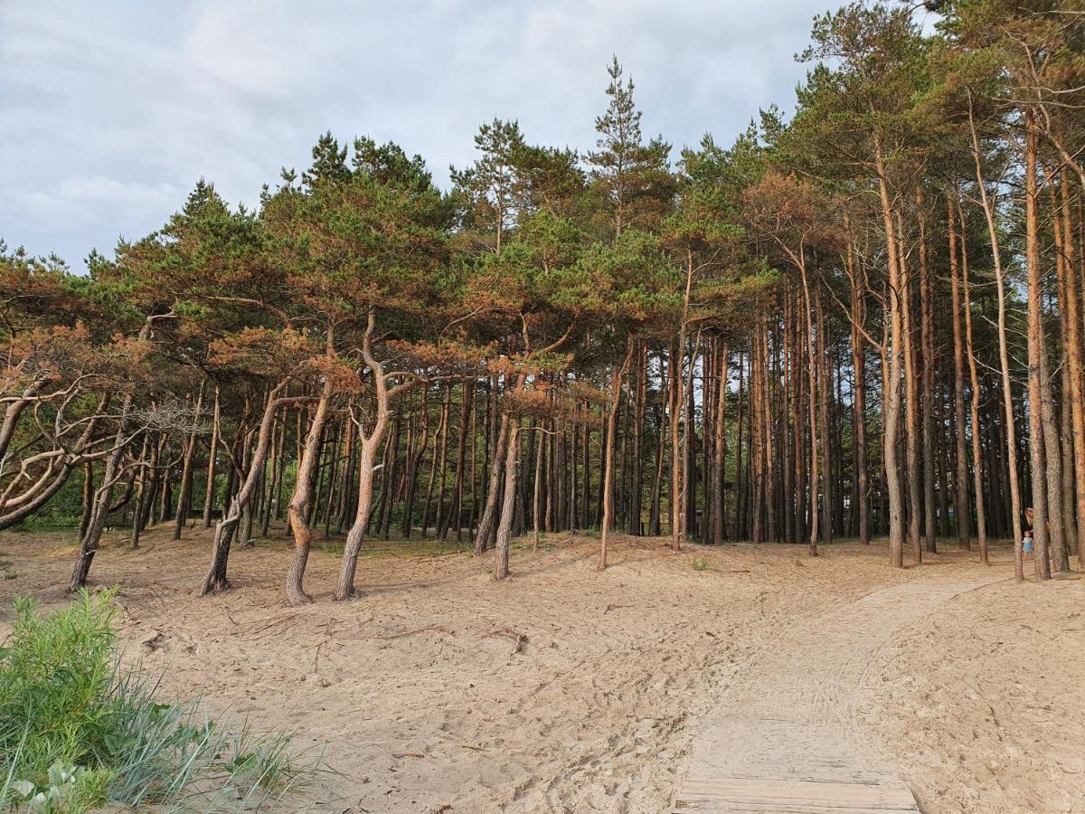 Ošia Ošia VIP apartamentai - B&B Palanga