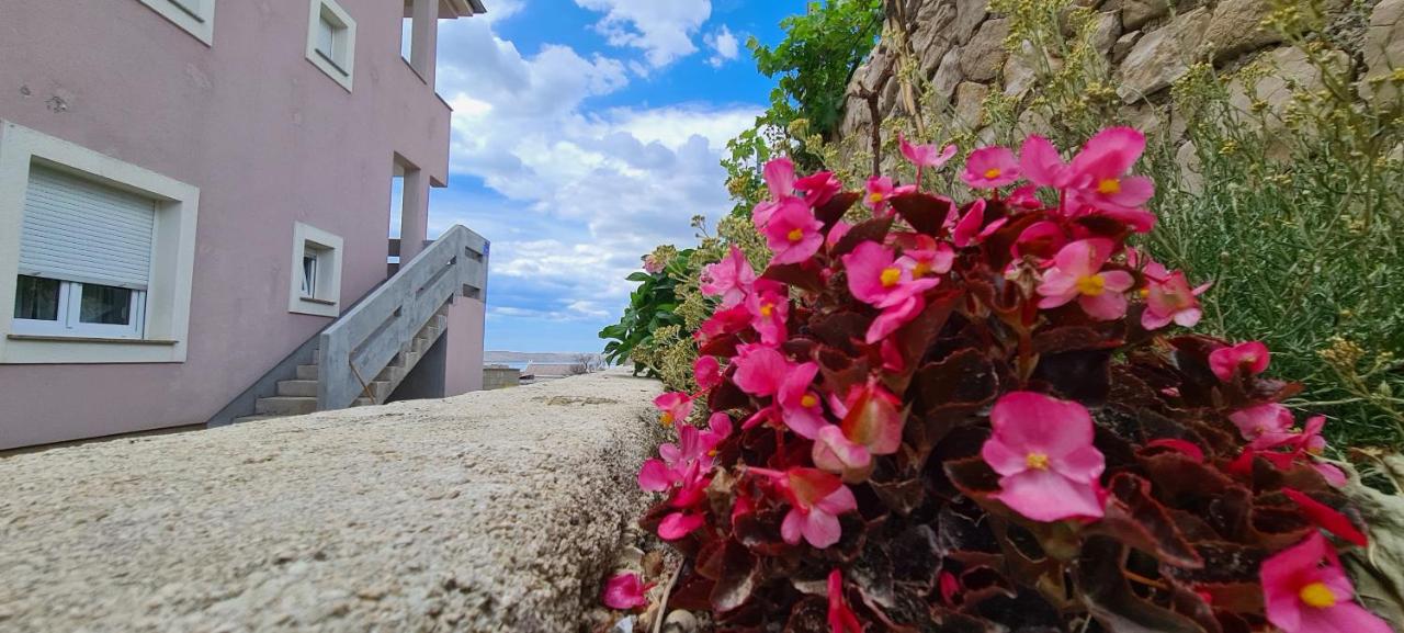 Apartmani Cesar - B&B Rtina