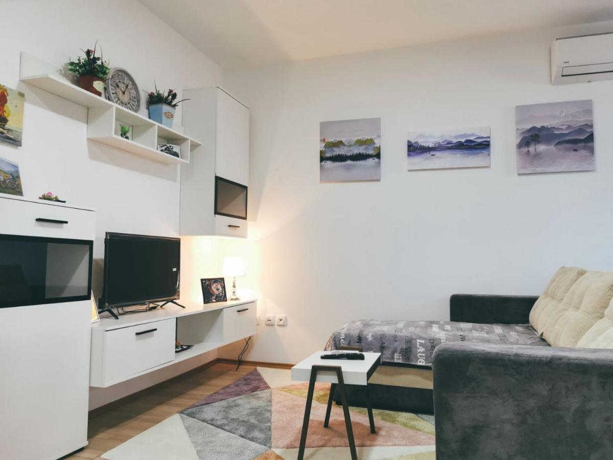 Appartement 1 Chambre