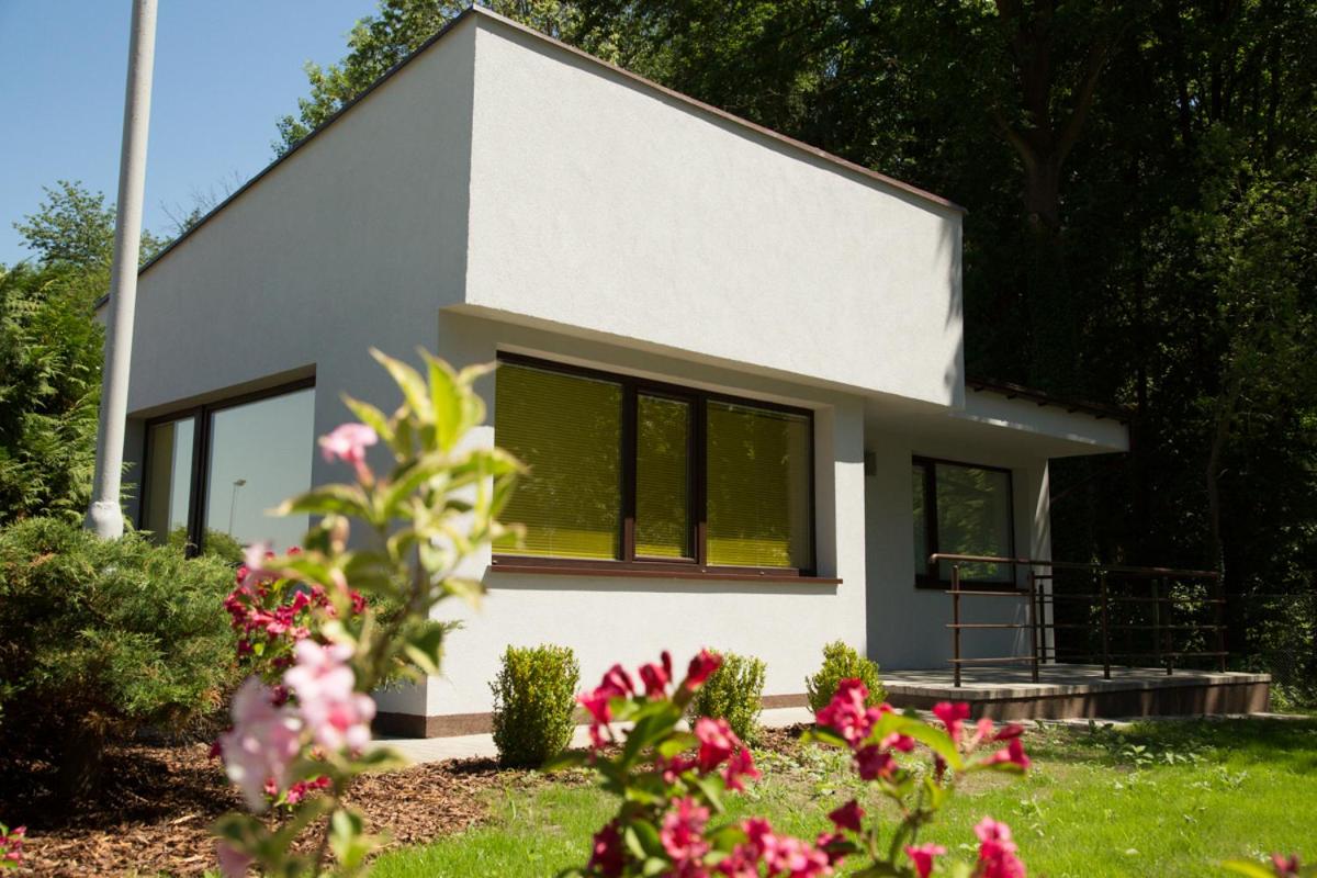 Camping Oaza Błonie Kórnik Domki Standard Plus - 3 pokoje - B&B Kórnik