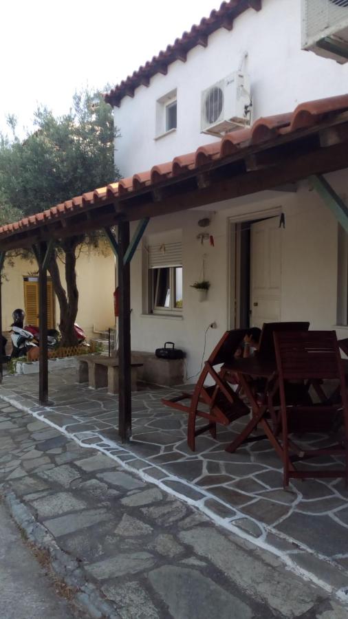 Estudio (4 adultos)