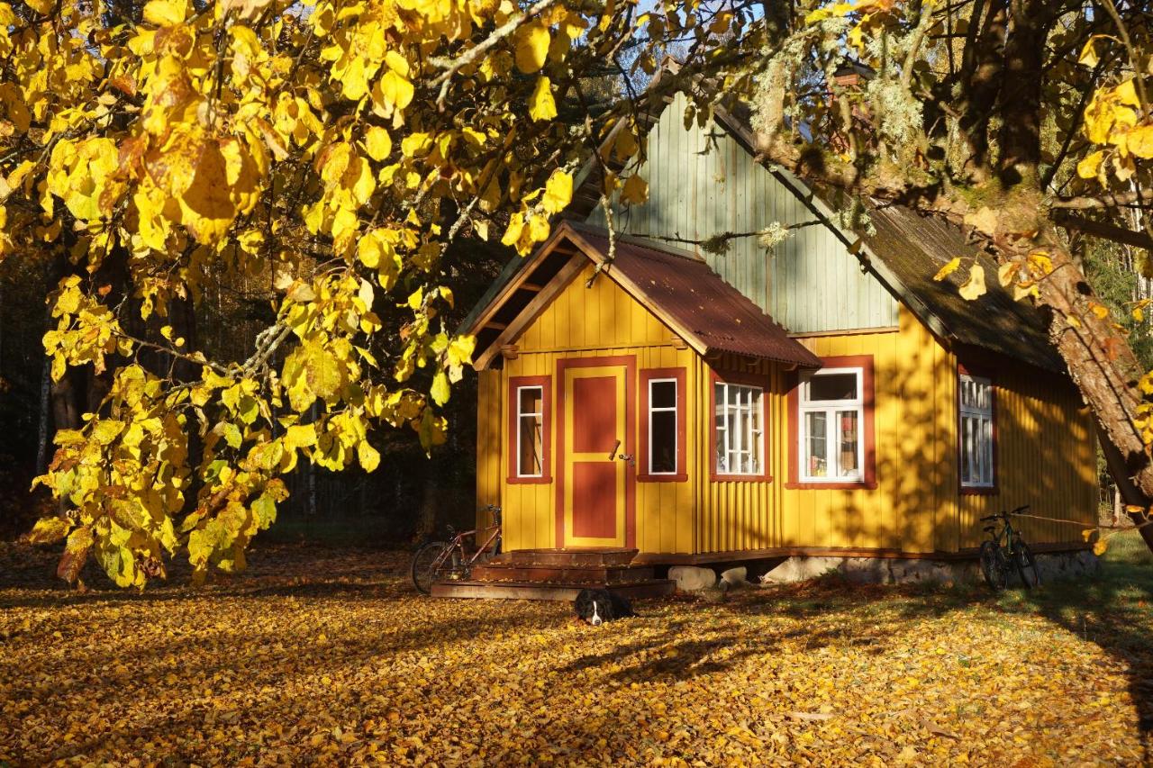 Nedsaja metsamaja ja saun - B&B