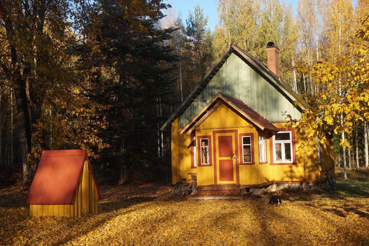 Nedsaja metsamaja ja saun - B&B Nedsaja