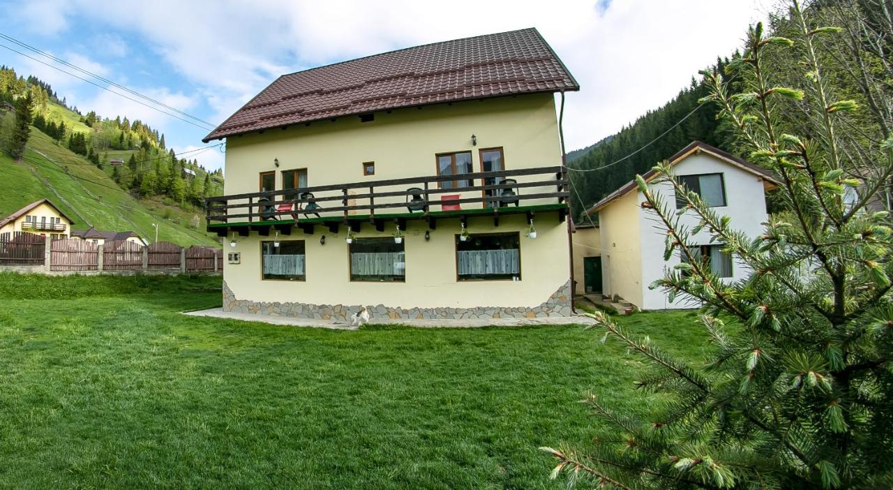 Pensiunea Tara - Ferienwohnung