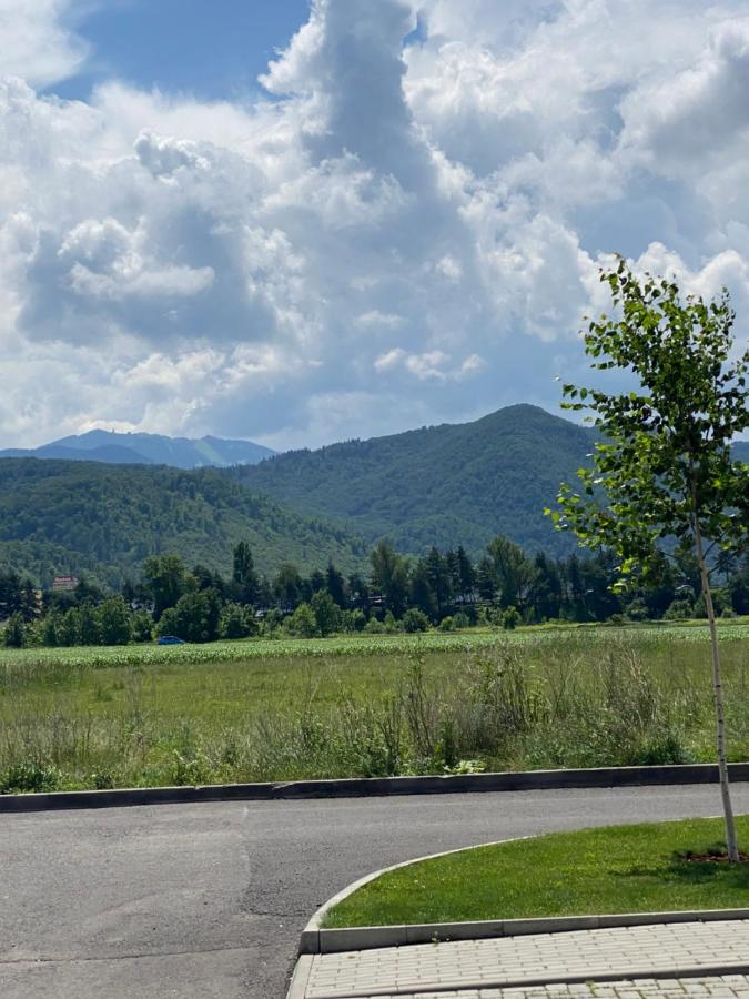 Tâmpa View Cosy flat 2 - B&B Brasov