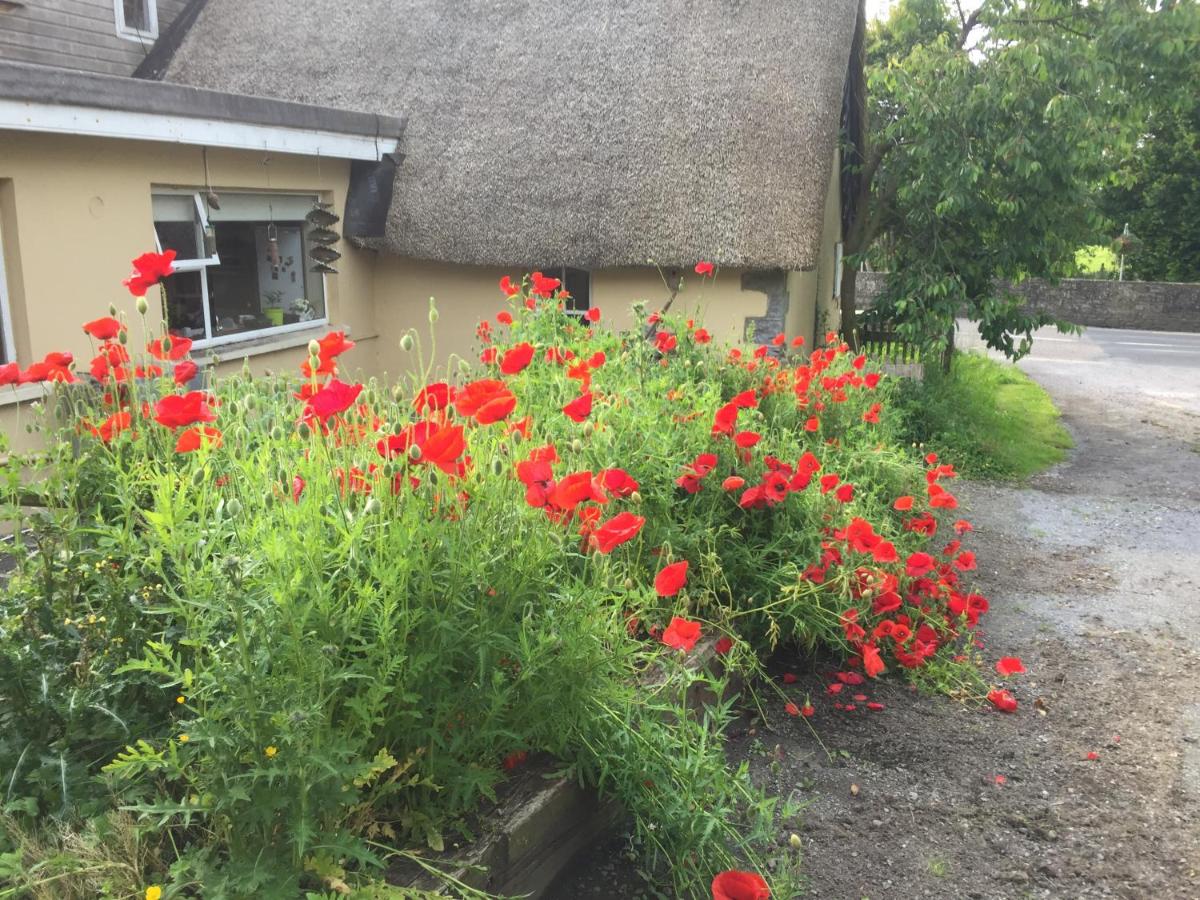 Bridge Cottage - B&B Cork