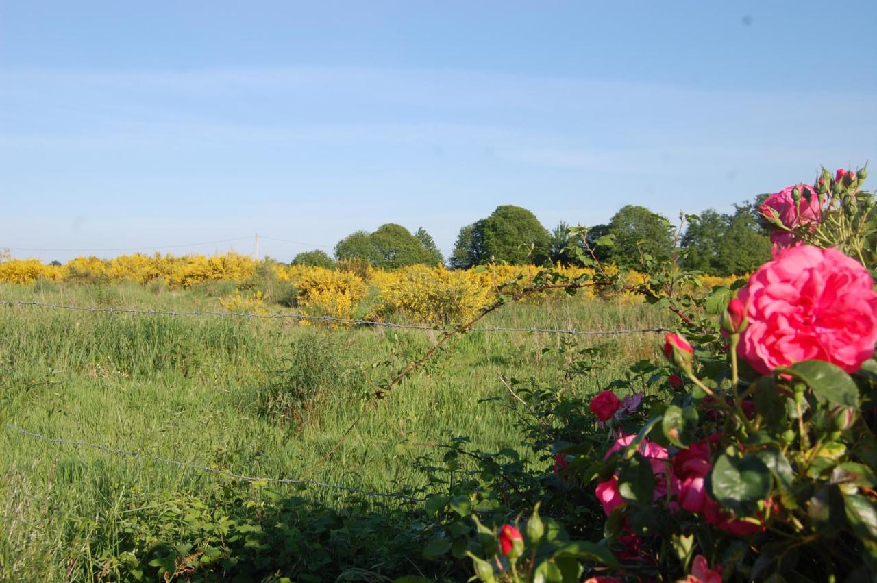 Le Pont St Michel - B&B Maneroch