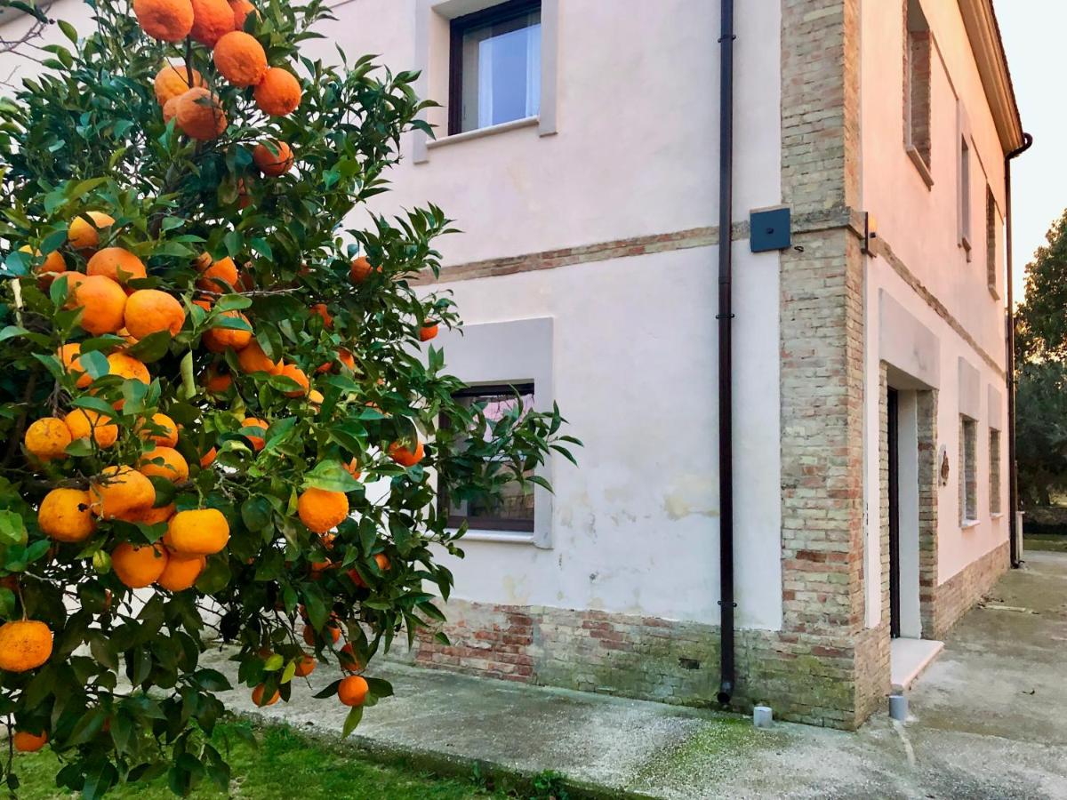 Az. Agr. Parco dei Buoi - Ferienwohnung
