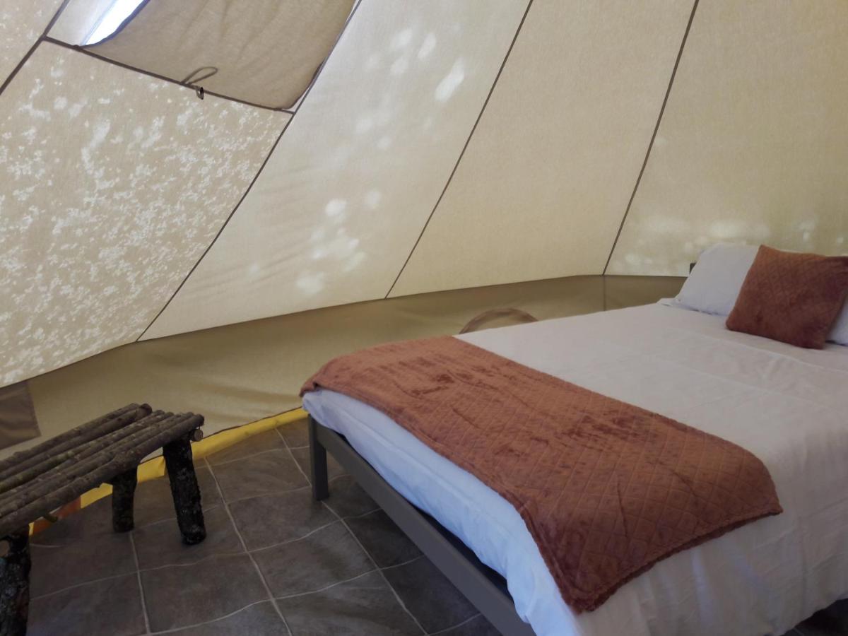 TENT 4