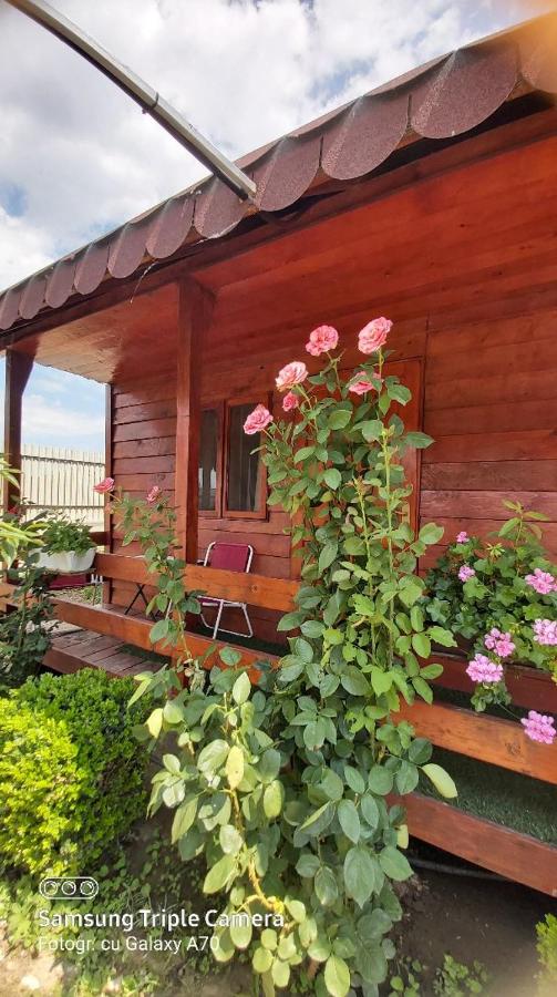 Pensiunea Raluca - B&B