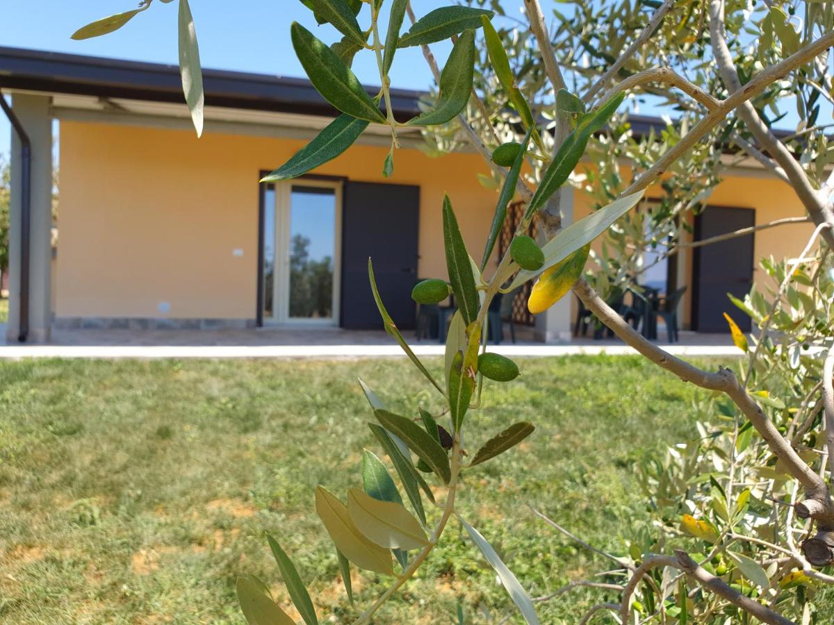 Appartamento con Vista Giardino