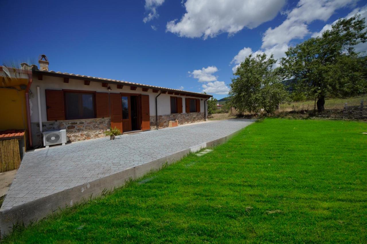 L'oliveto - Bed and Breakfast