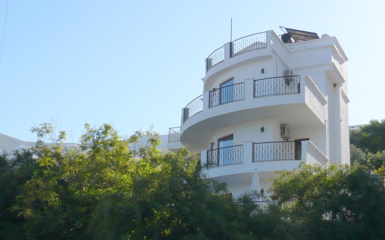 Villa Amare - B&B