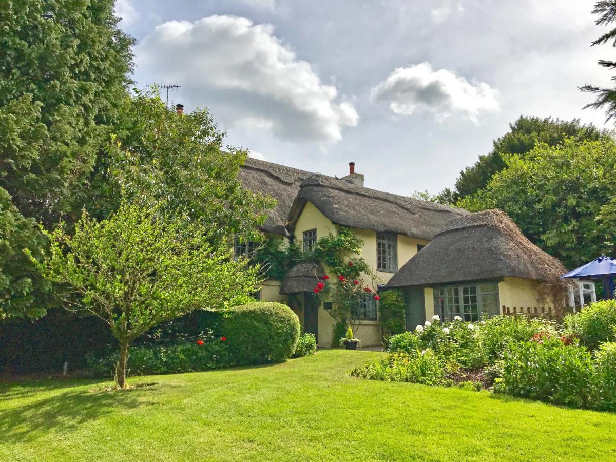 B&B Breamore - Beck Cottage, Wood Green, New Forest UK - Bed and Breakfast Breamore