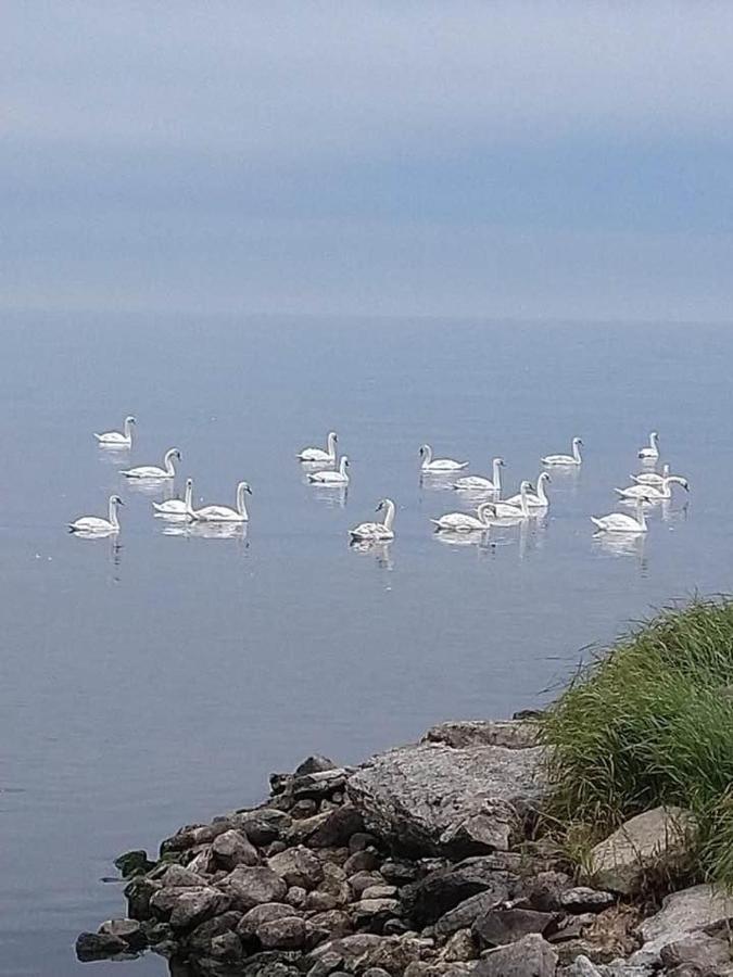 Takvåning-Borgholm - B&B