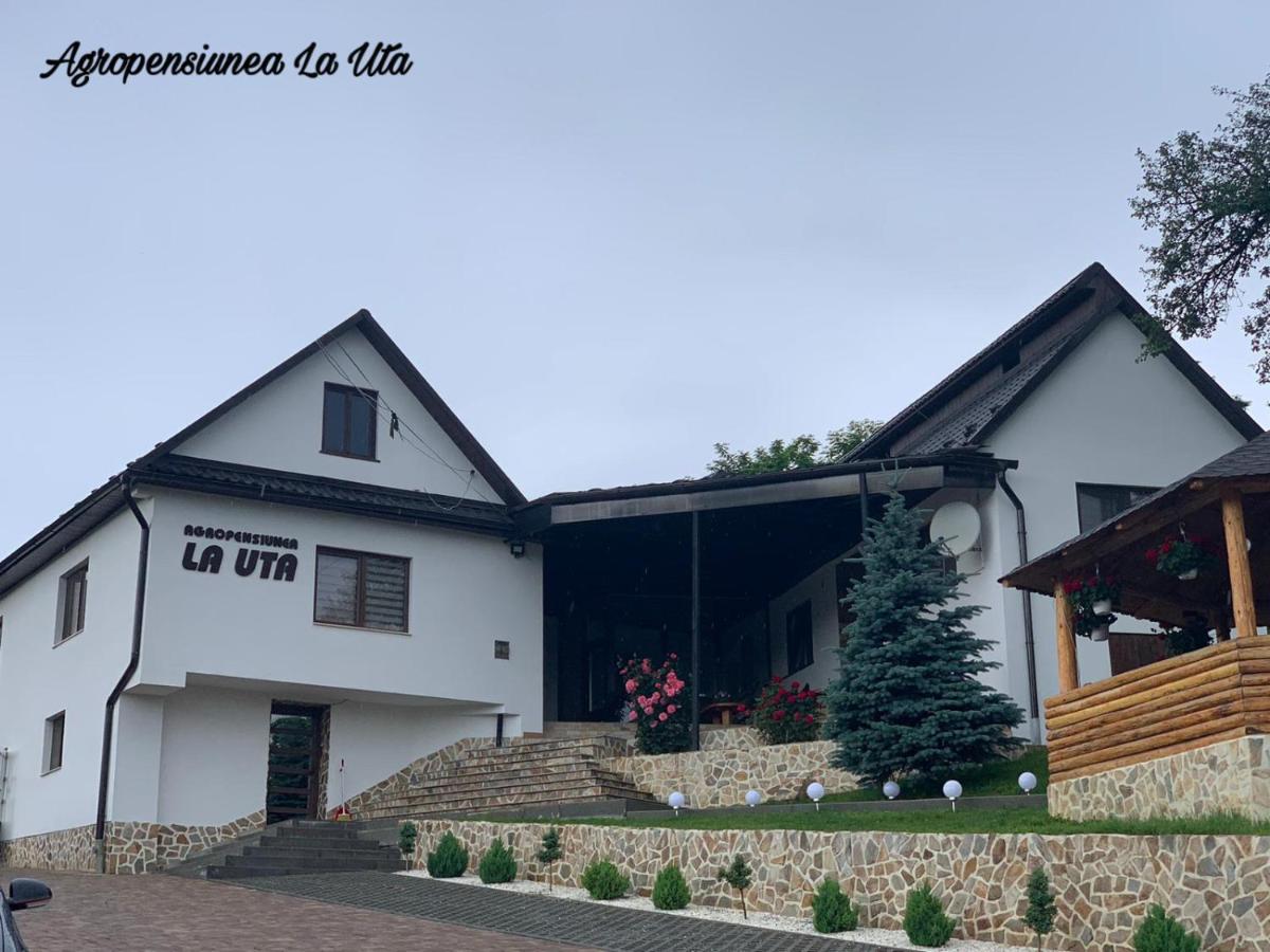 B&B Rebrişoara - Agropensiunea La Uța - Bed and Breakfast Rebrişoara