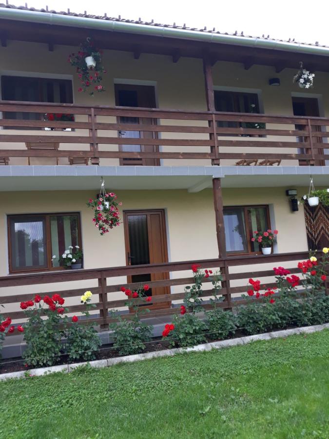 Casa Monika Ciocarliei - B&B