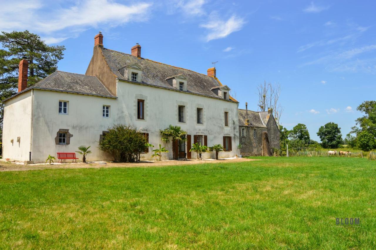 B&B Saint-Herblain - Manoir de L'Aisnerie - Bed and Breakfast Saint-Herblain