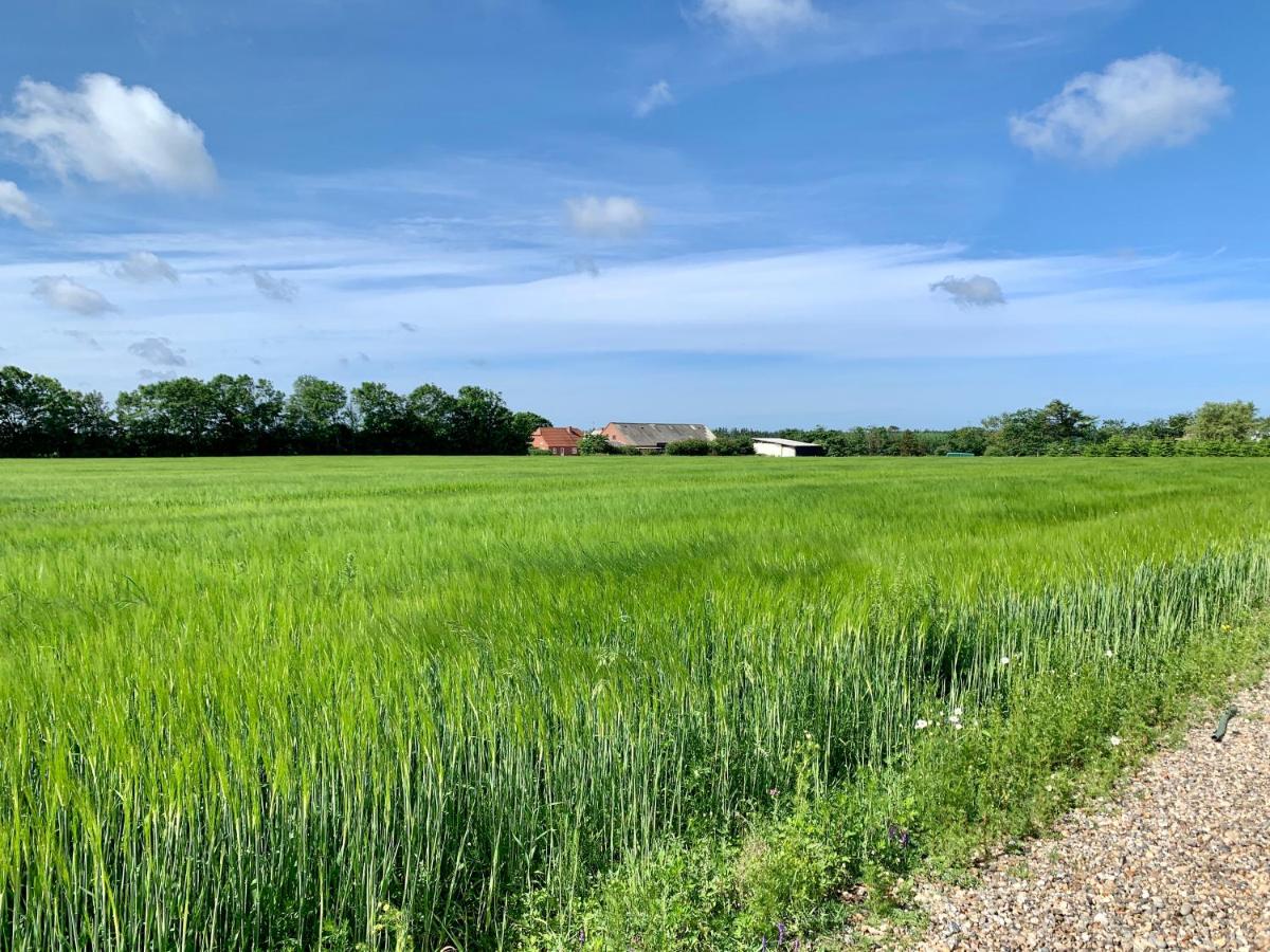Hennebjerg overnatning - B&B