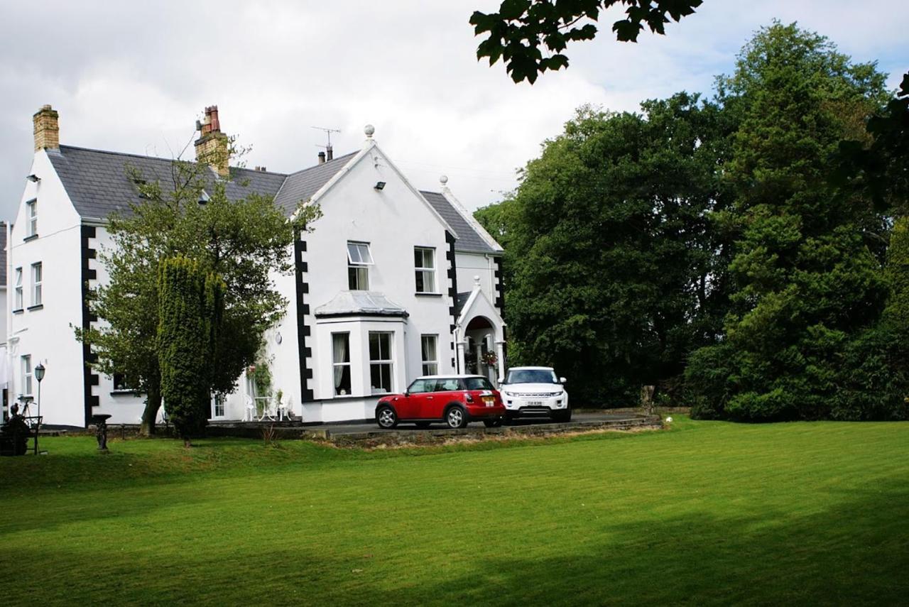 B&B Penbryn - Arkle House - Bed and Breakfast Penbryn