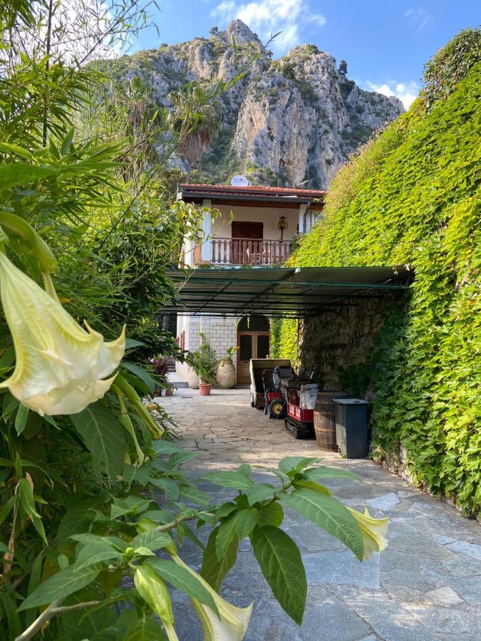 Ascheri Country House - Grimaldi, Ventimiglia - B&B Ventimiglia