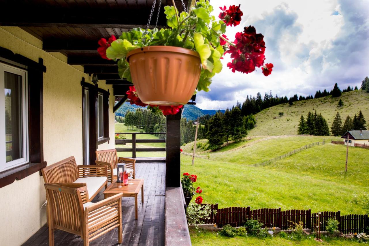 CASA CERBUL - Chambres d’hôtes Fundata