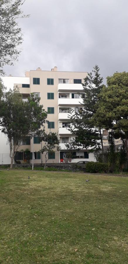 Funchal petrolhead apartment - B&B Funchal