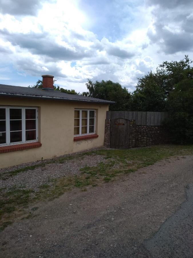 Ferienwohnung in Welzin - B&B