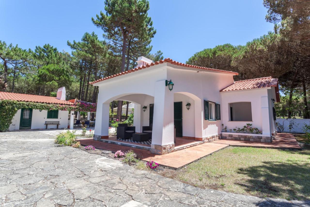 B&B Sintra - Ocean, Pines and Mountain - Bed and Breakfast Sintra